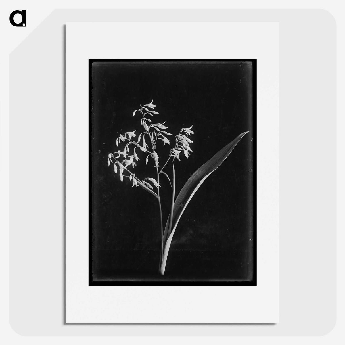 1-4_Frederick-Charles-Brockett_picture