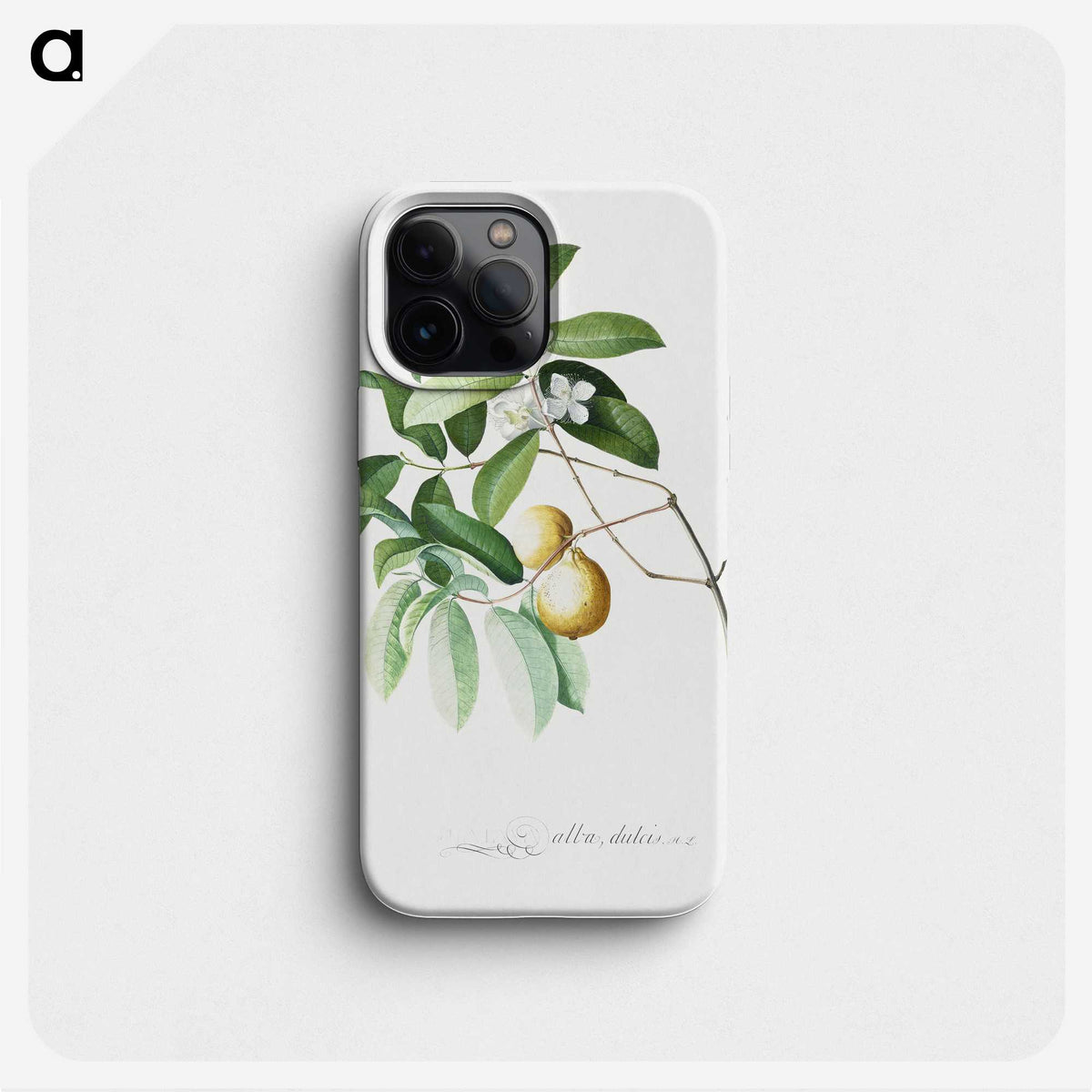 1-4_Georg-Dionysius-Ehret_phone