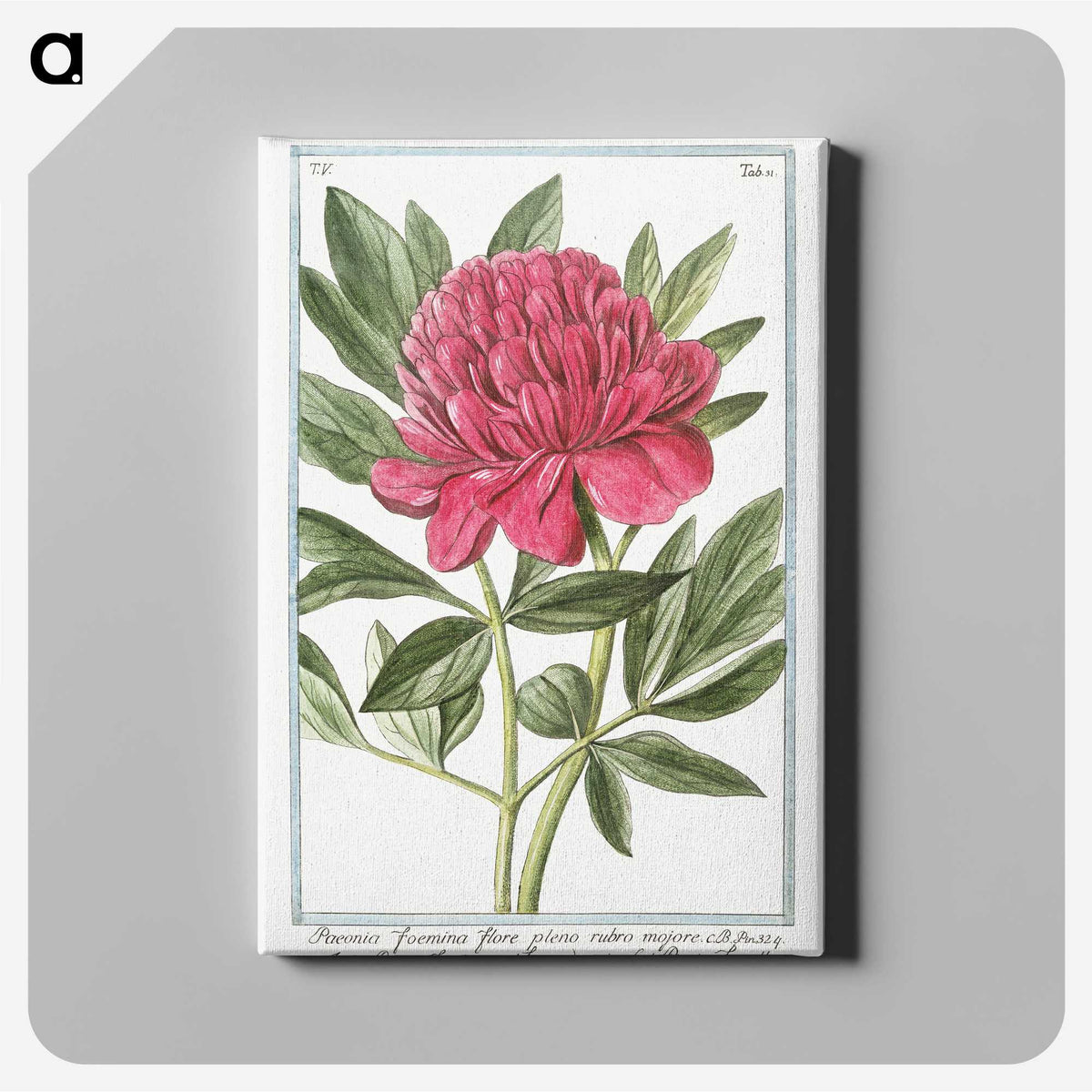 1-4_Hortus-Romanus-Botanical-Plates_canvas