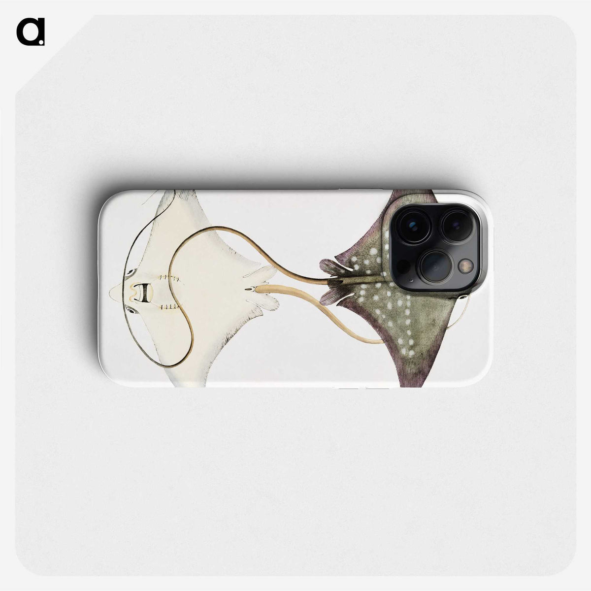 1-4_Indian-Zoology_phone