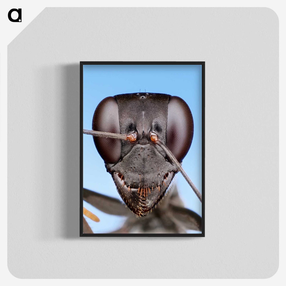 1-4_Insects-Unlocked-Project_blk-crop