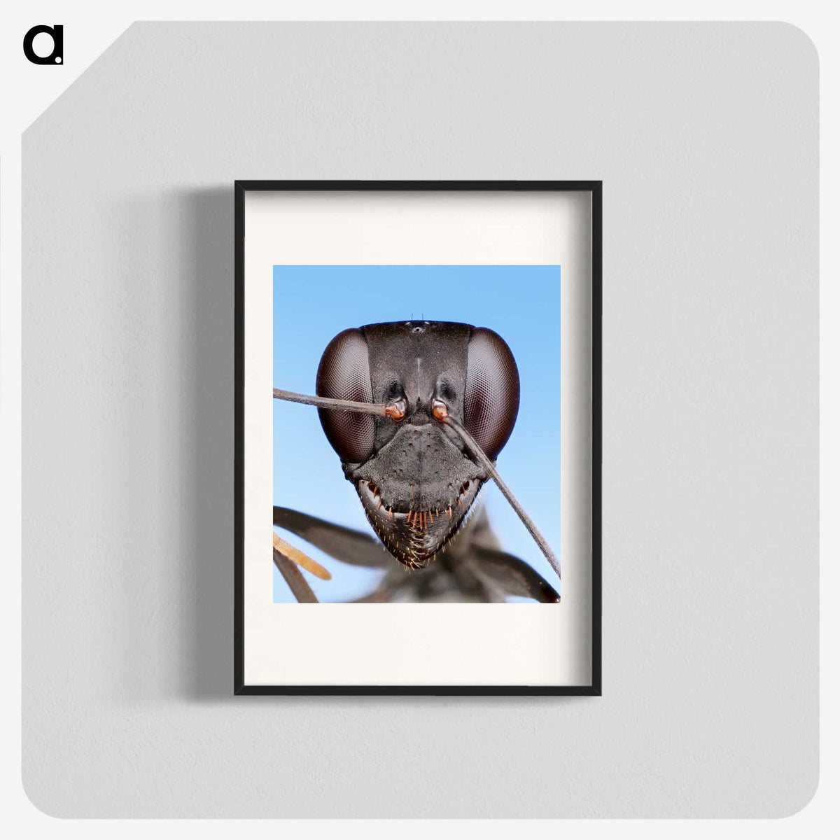 1-4_Insects-Unlocked-Project_blk