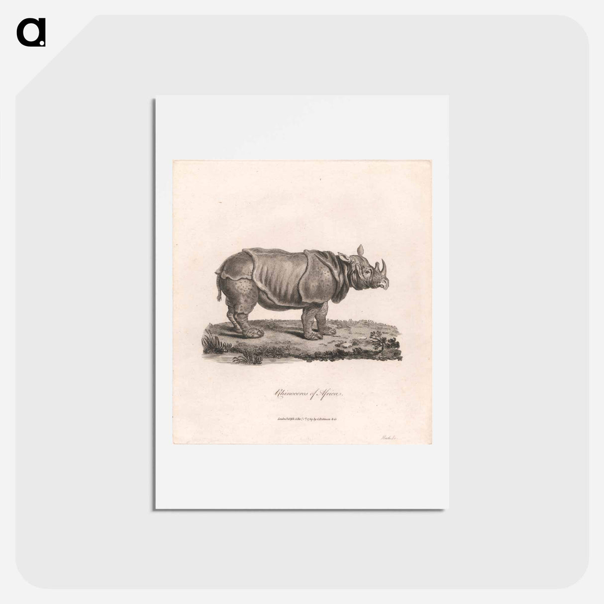 アートポストカード-Rhinoceros of Africa
- ジェームス ヒース Postcard.