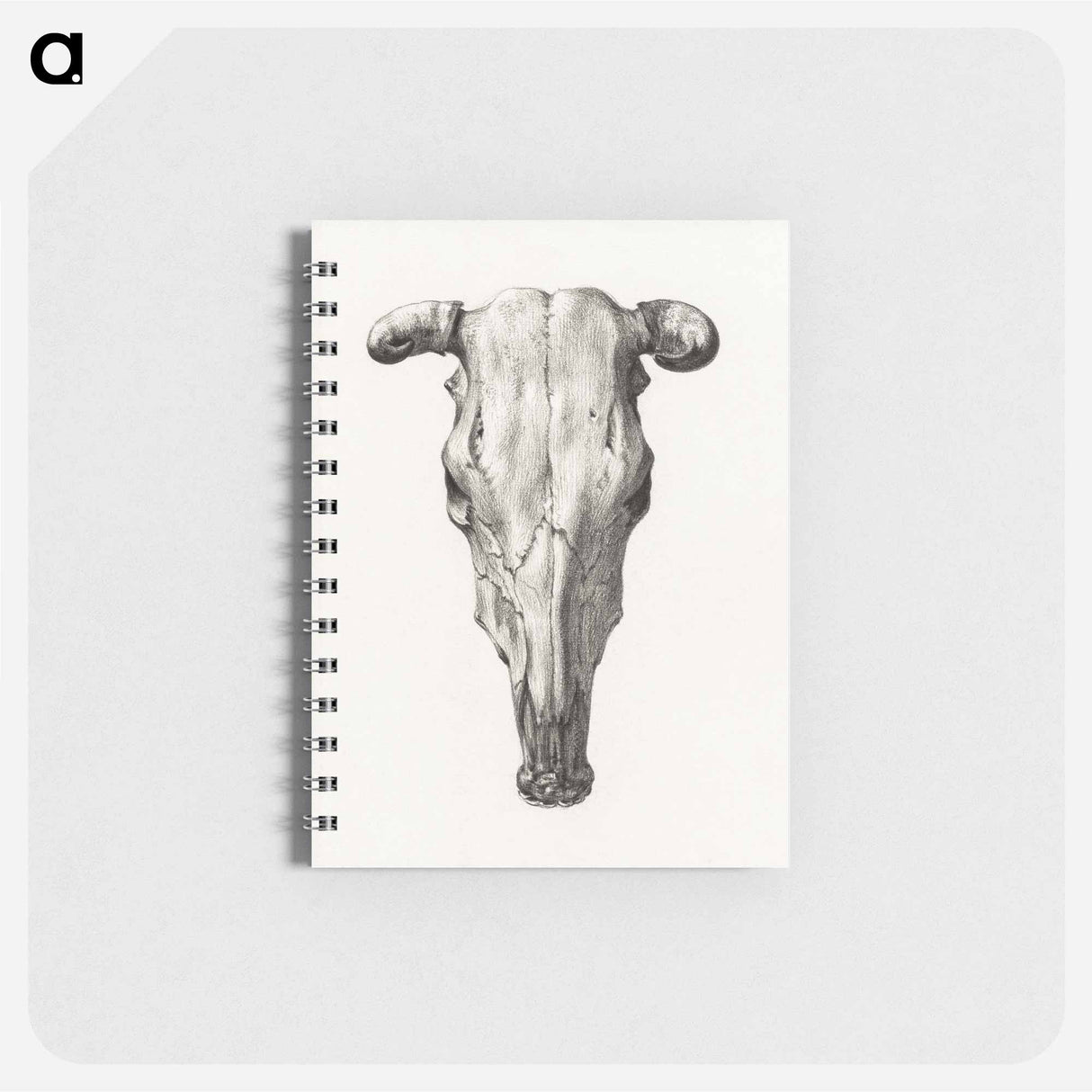 Skull of a cow - ジャン ベルナール Memo.