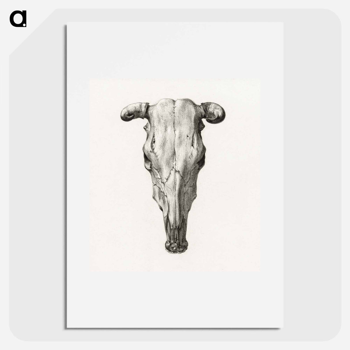 Skull of a cow - ジャン ベルナール Poster.