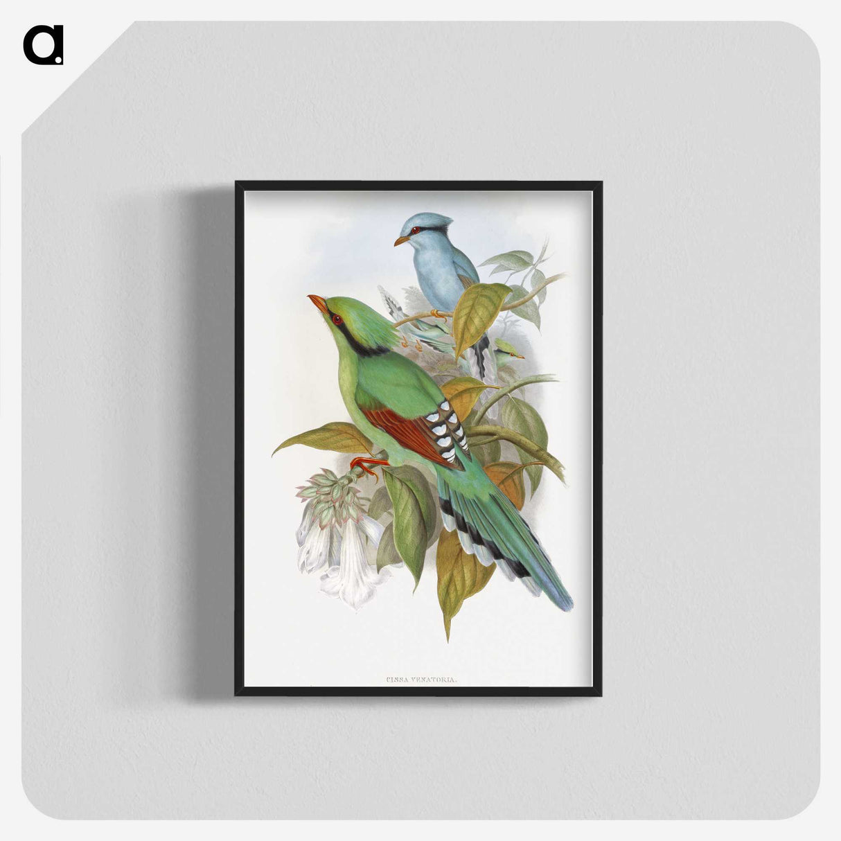 1-4_John-Gould_blk-crop