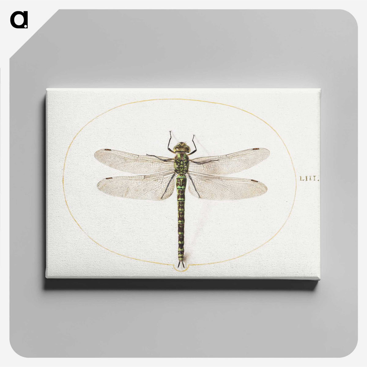 1-4_Joris-Hoefnagel_canvas