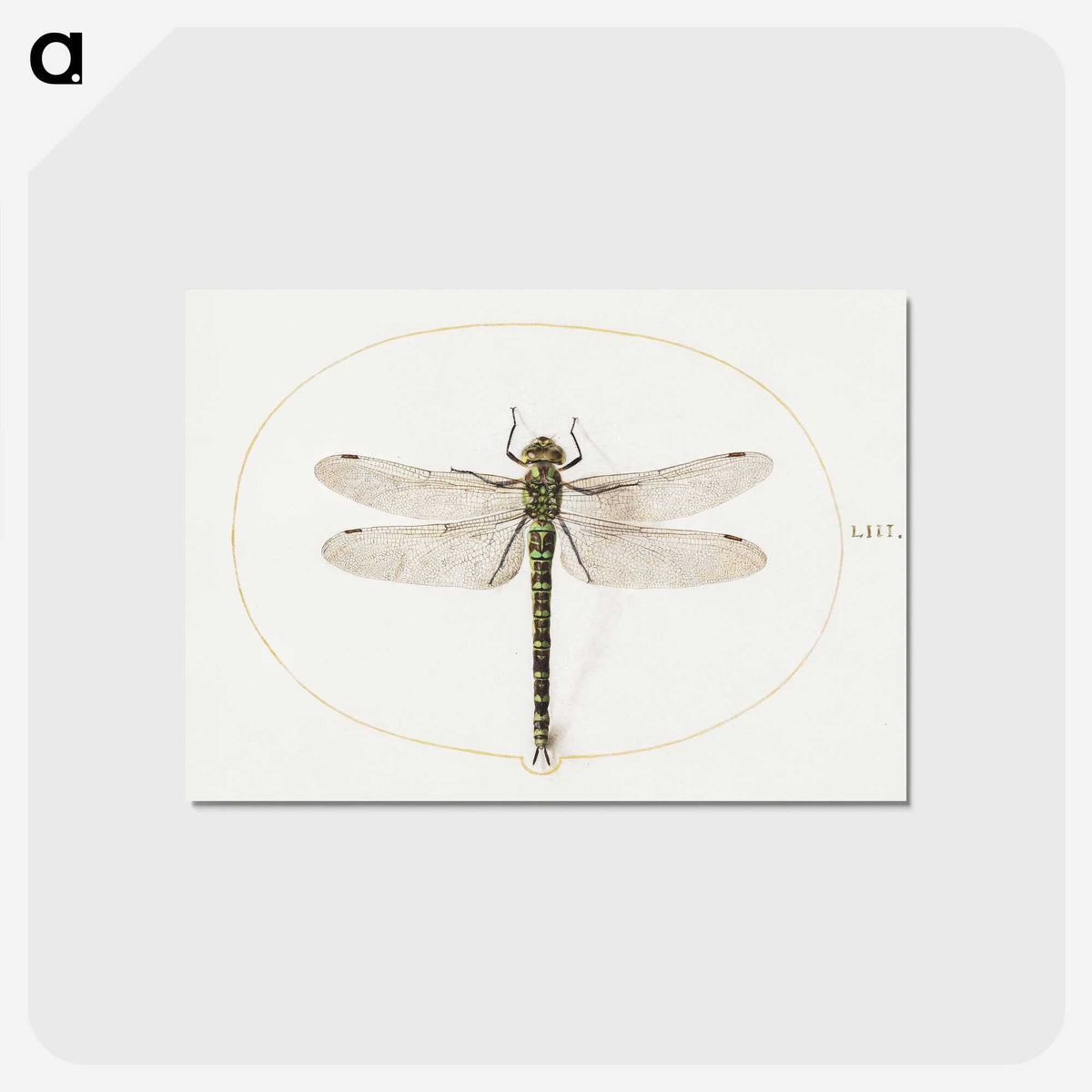 1-4_Joris-Hoefnagel_postcard