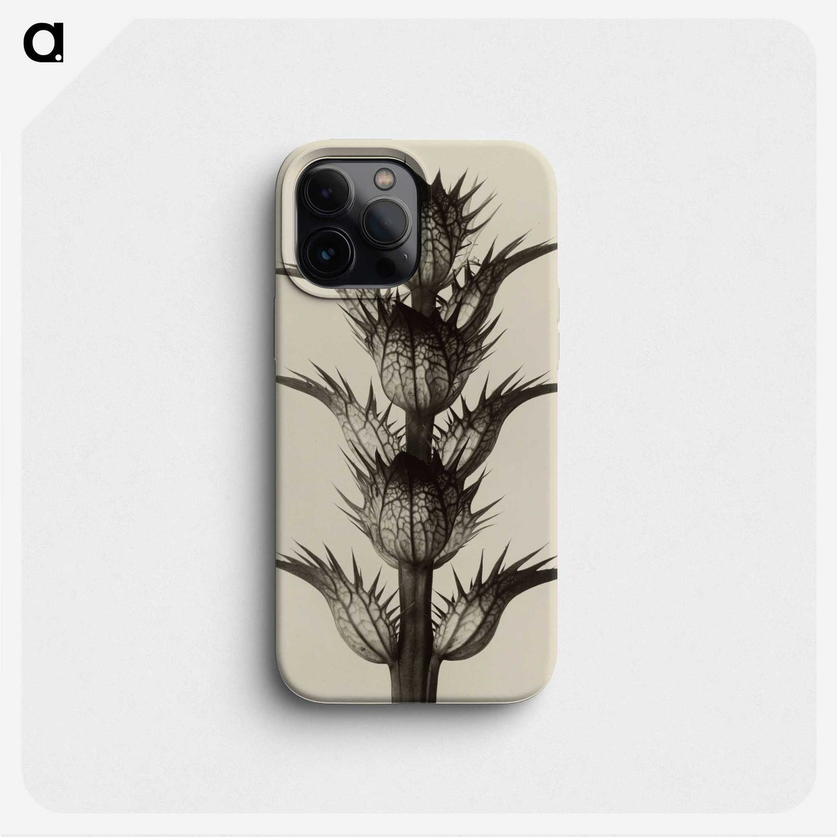 1-4_Karl-Blossfeldt_phone
