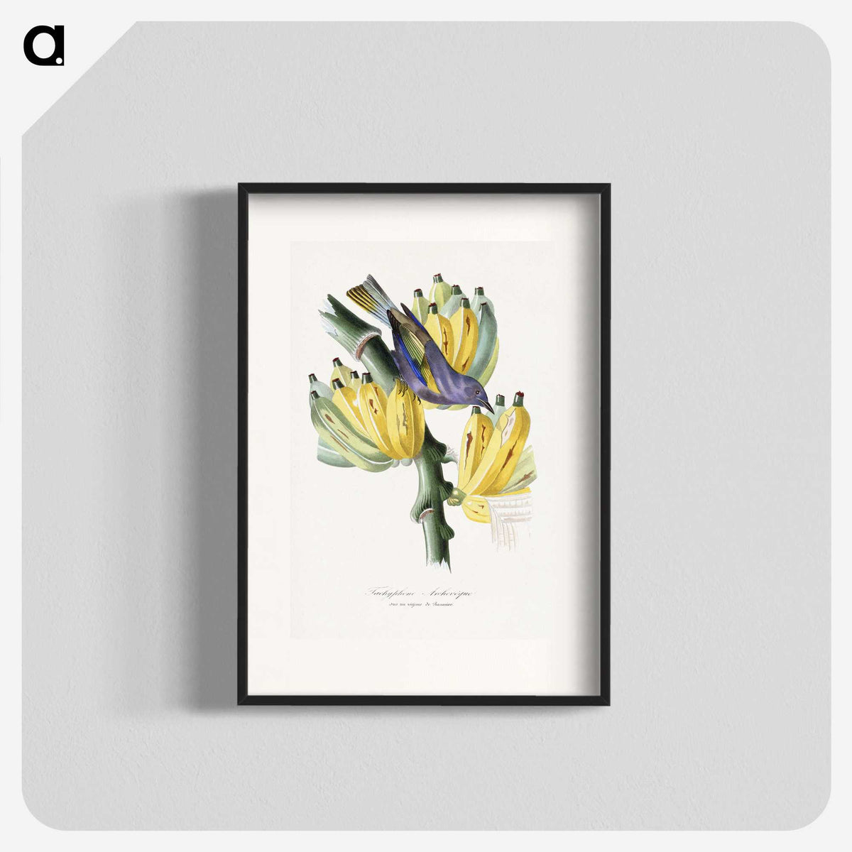 1-4_Le-Jardin-des-Plantes_blk