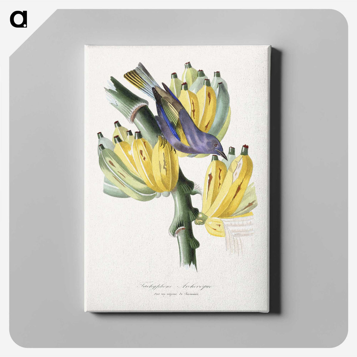 1-4_Le-Jardin-des-Plantes_canvas
