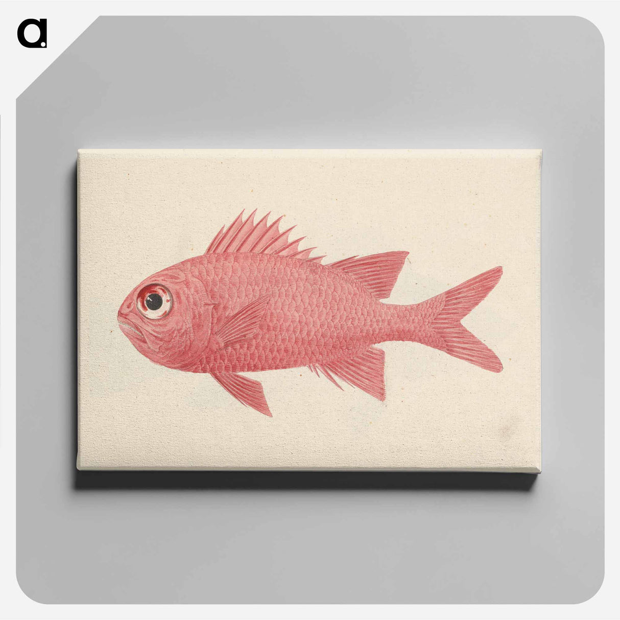 アートパネル-Unidentified Fish
- ルイージ バルガーニ Canvas.