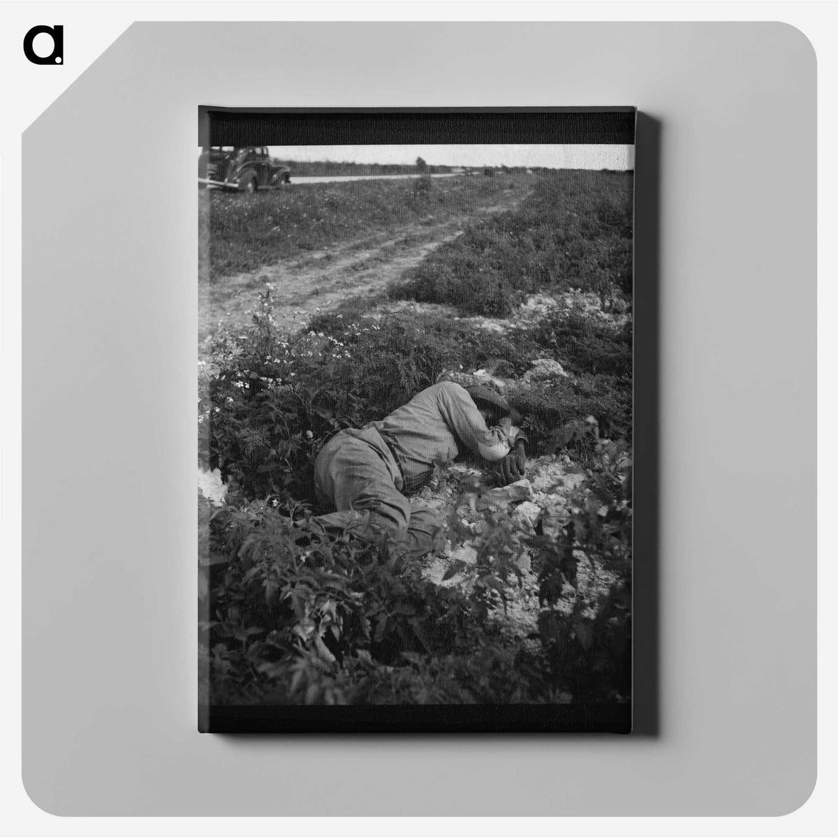 1-4_Marion-Post-Wolcott_canvas