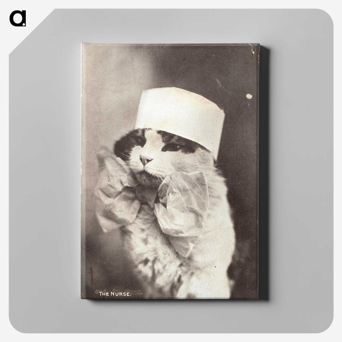 1-4_National-Library-of-Medicine_canvas