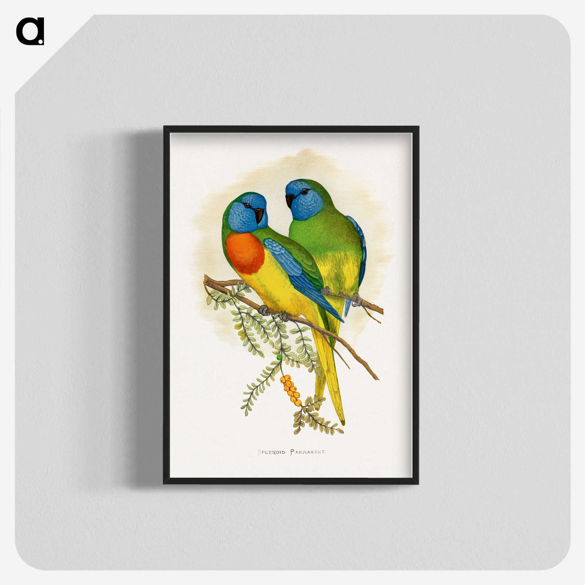 1-4_Parrots-in-Captivity_blk-crop