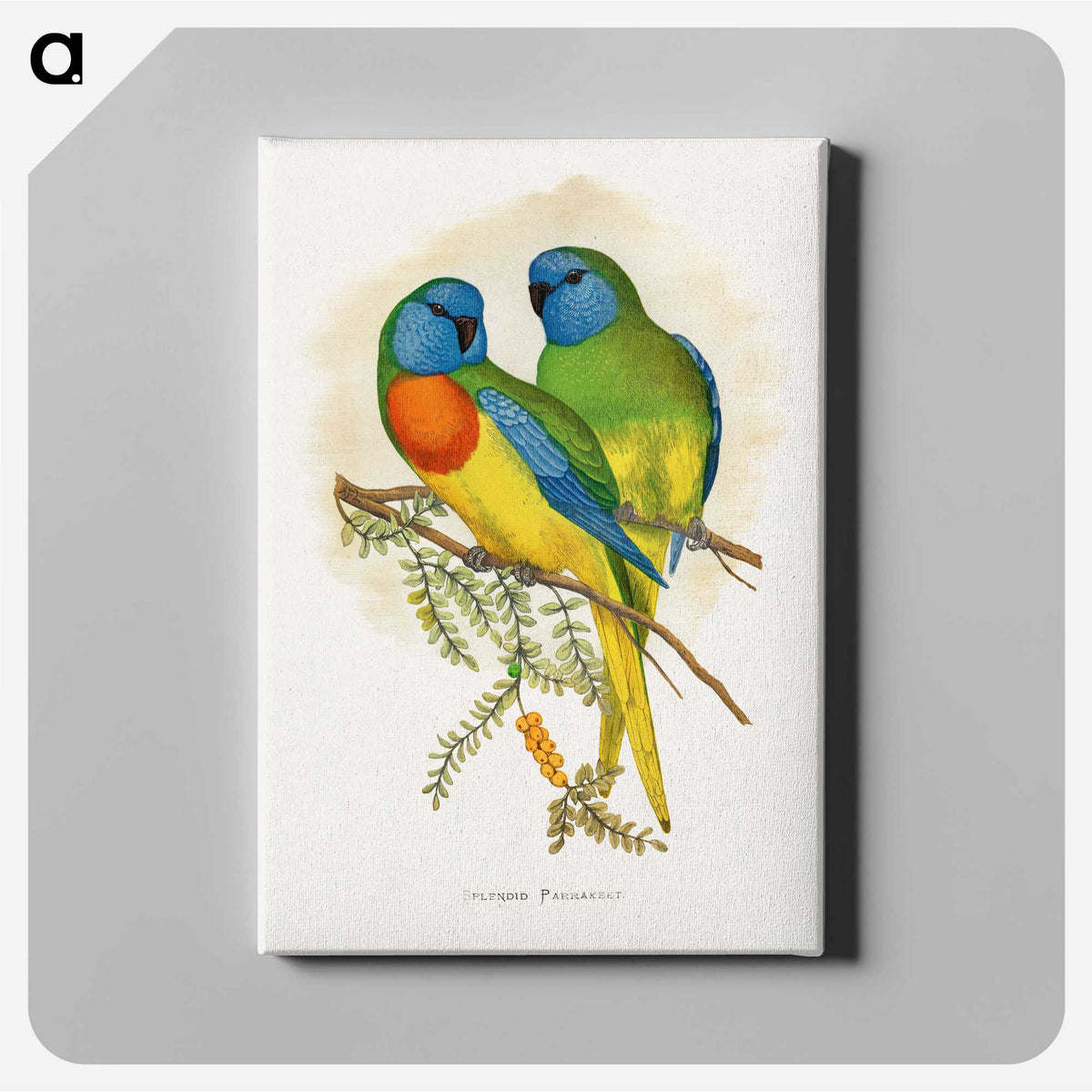 1-4_Parrots-in-Captivity_canvas