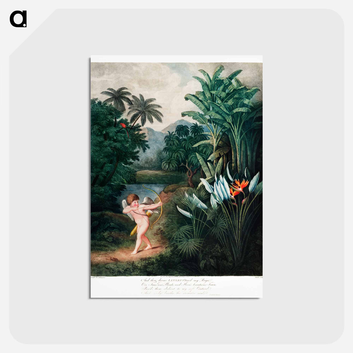 アートポストカード-Cupid Inspiring Plants with Love
- ロバート ジョン ソーントン Postcard.