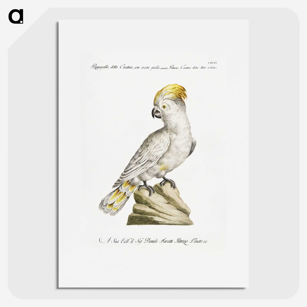 1-4_Saverio-Manetti_picture