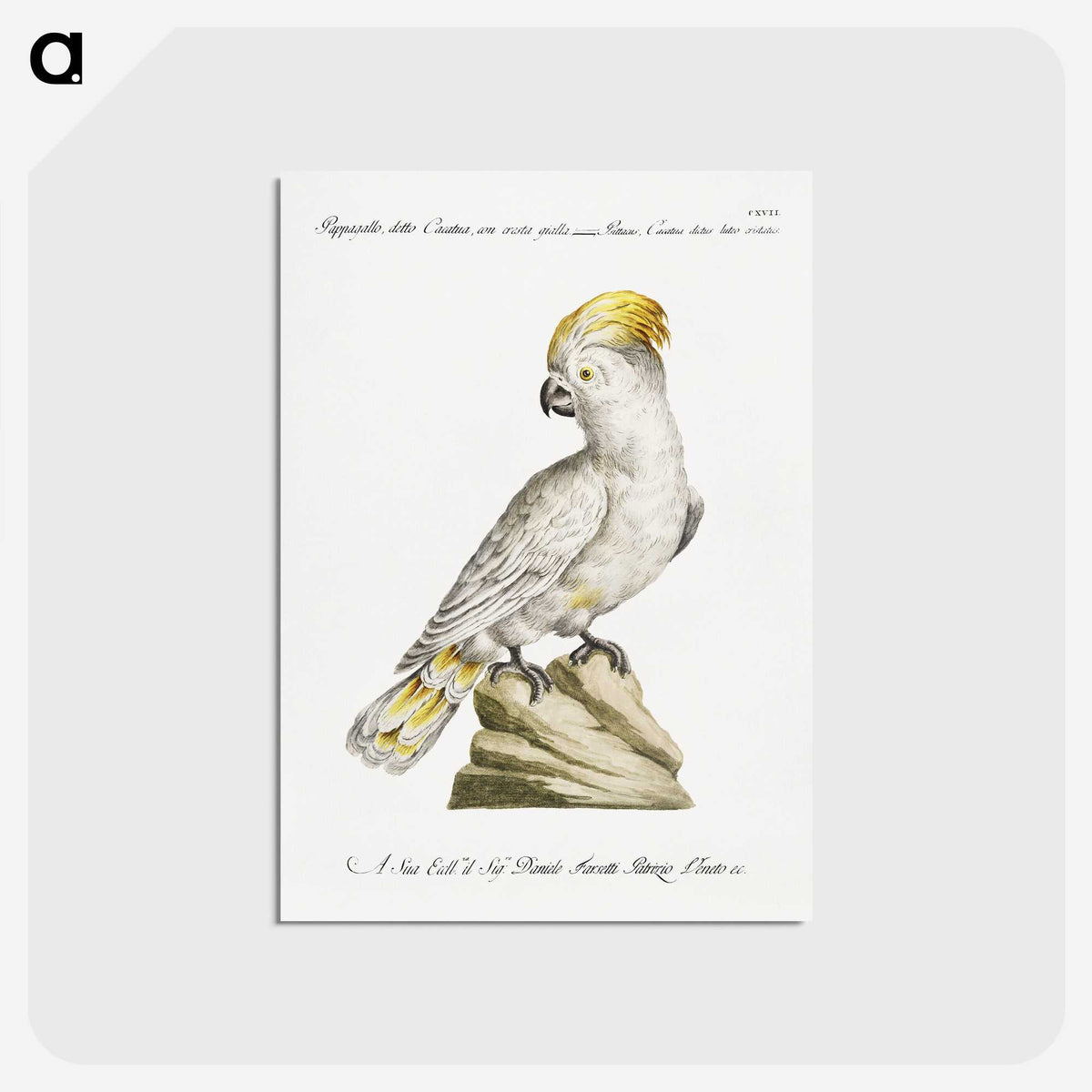 1-4_Saverio-Manetti_postcard