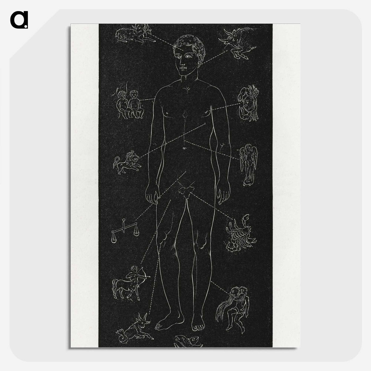 1-4_Solar-Biology_picture-crop