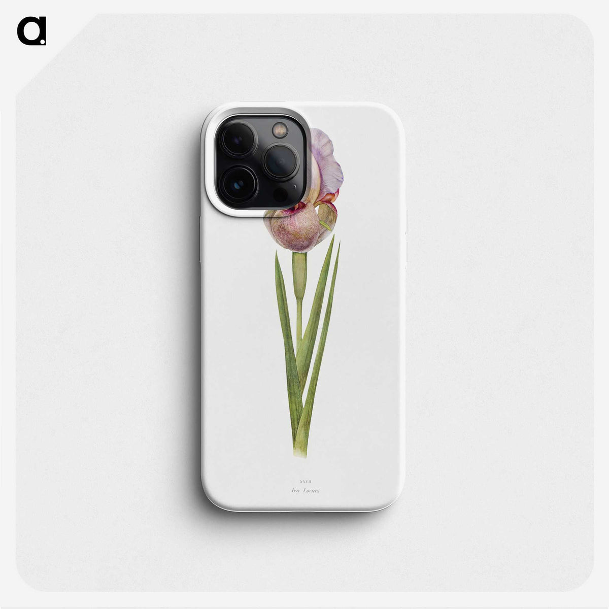 1-4_The-Genus-Iris_phone
