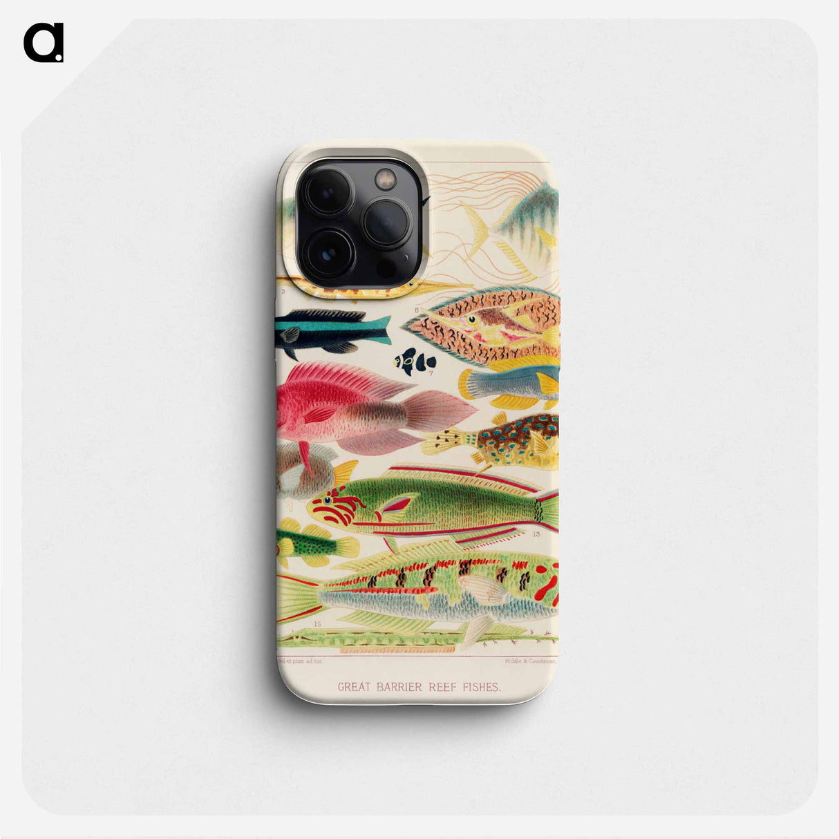 Great Barrier Reef Fishes - オーストラリアのグレートバリアリーフ Phone Case.