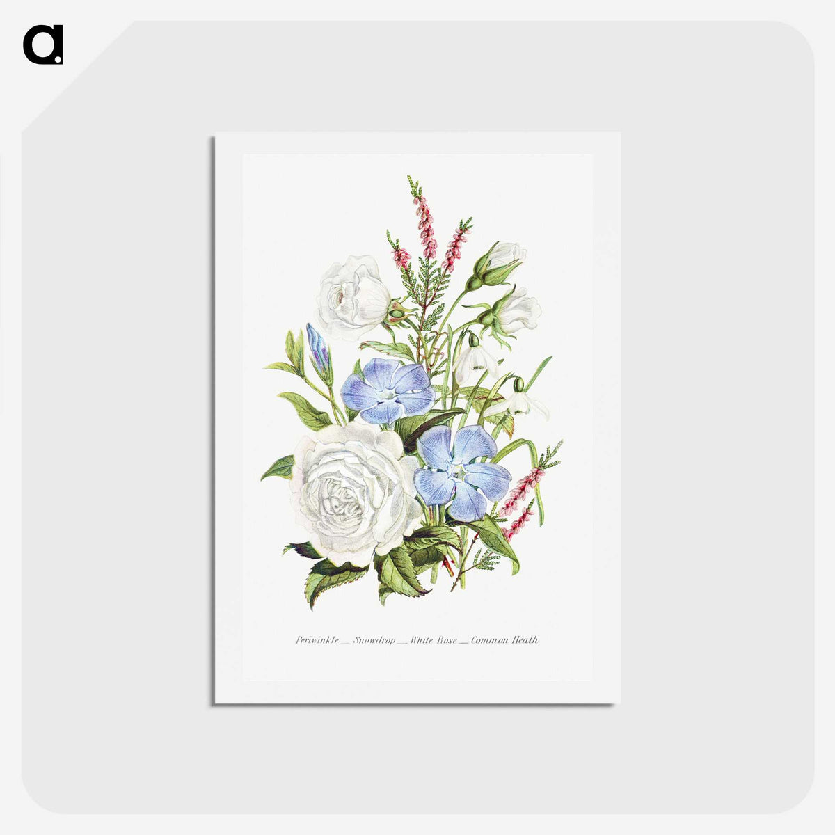 1-4_The-Language-of-Flowers_hagaki