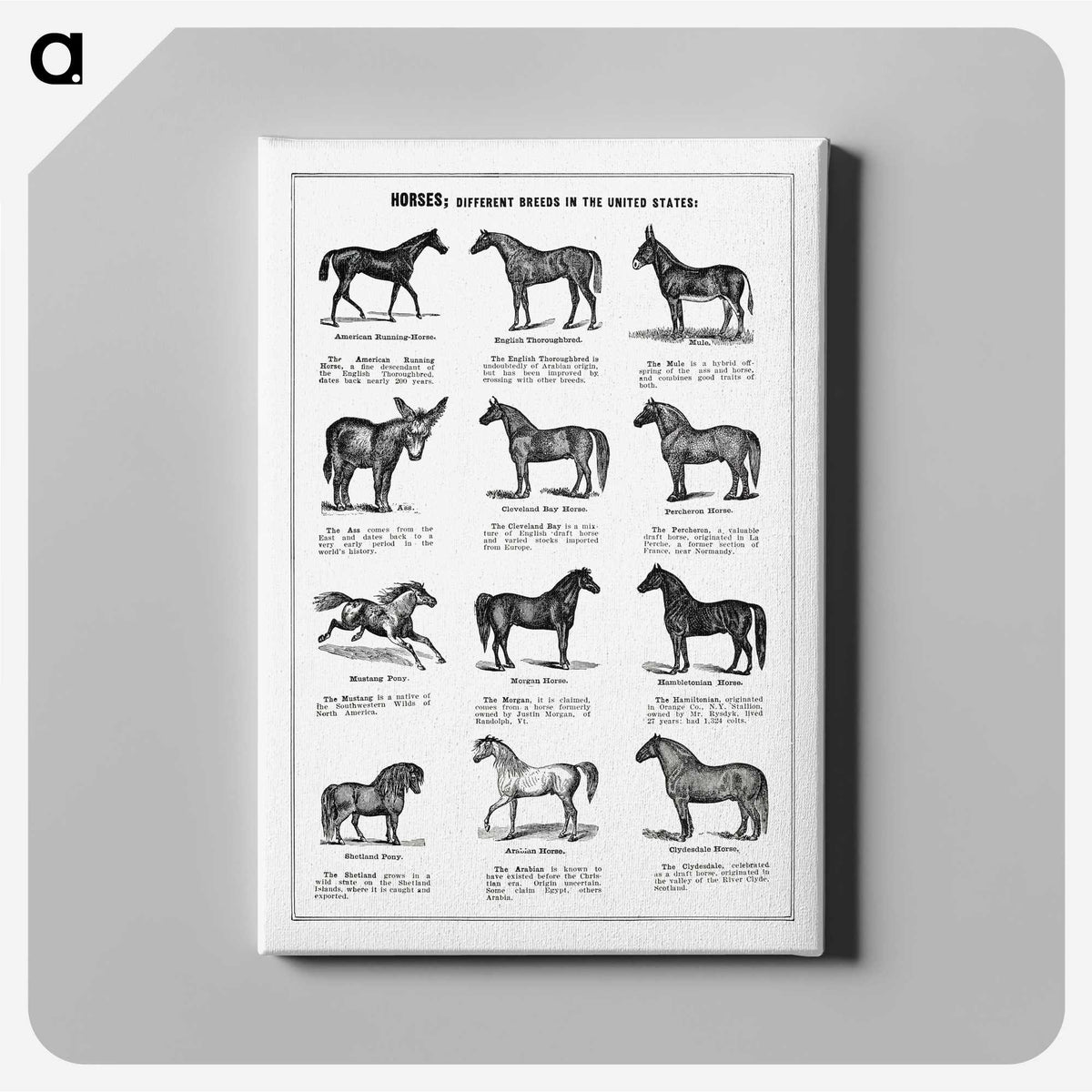 1-4_The-Open-Door-to-Independence_canvas