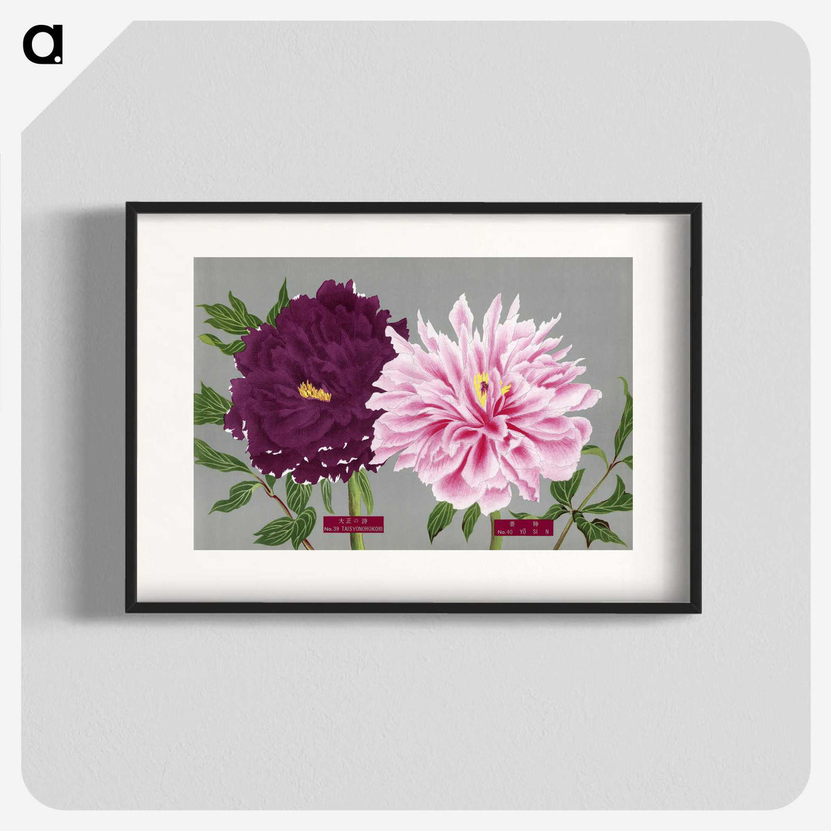 1-4_The-Picture-Book-of-Peonies_blk