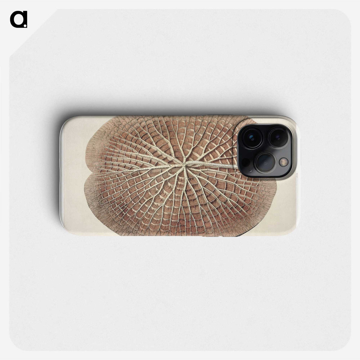1-4_Victoria-Regia_phone