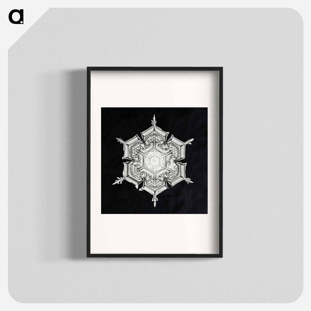 Wilson Bentley's Snowflake 579A - Wilson Bentley Poster.