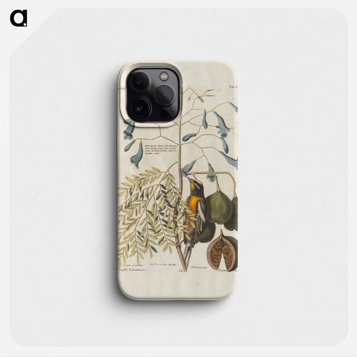 Bird and plants illustration - イー ララ Phone Case.