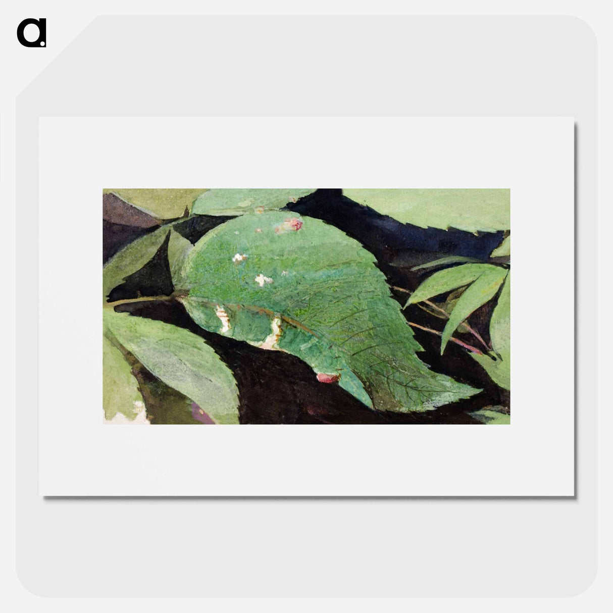 White Birch Leaf Edge Caterpillar - アボット ハンダーソン セイヤー Poster.