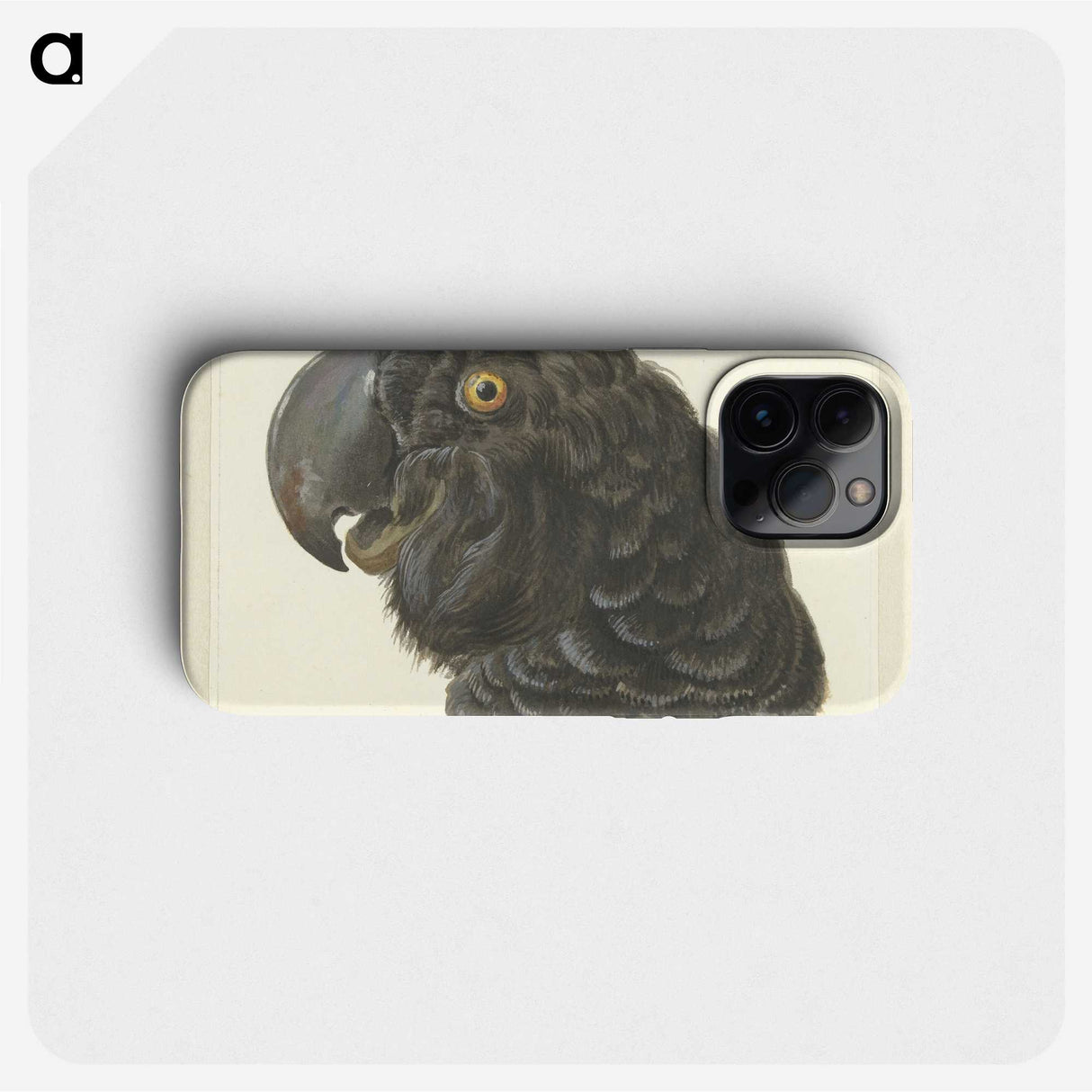 1-50_Aert-Schouman_phone