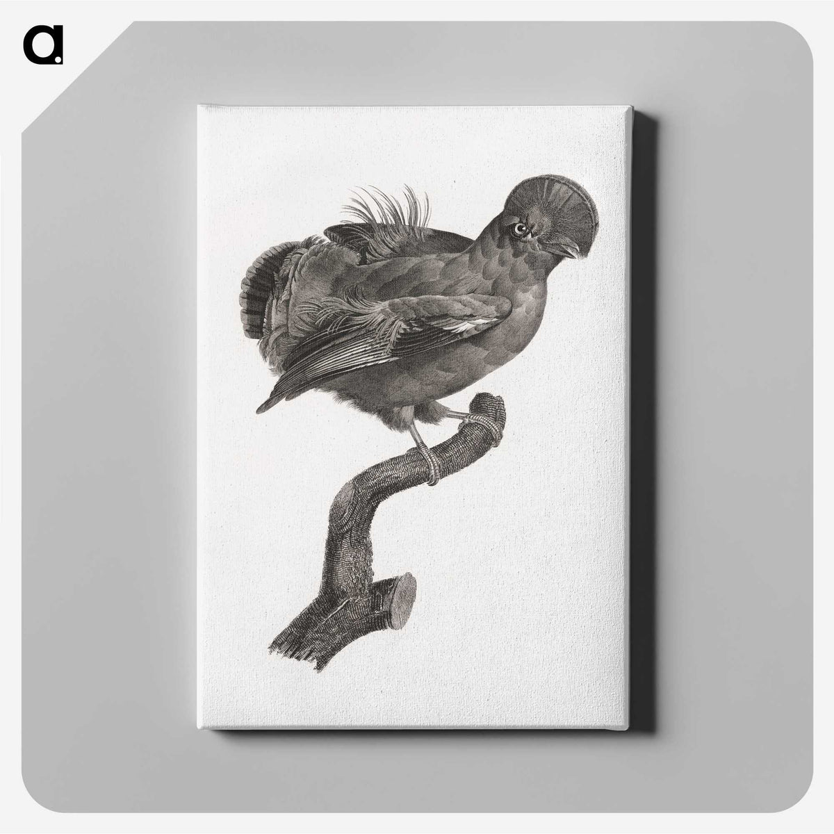 1-50_Des-Oiseaux-de-Paradis_canvas