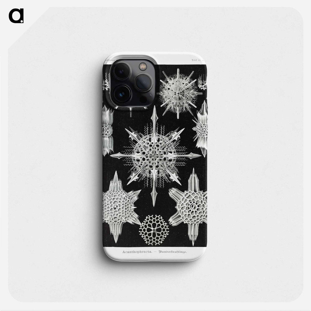 Acanthophracta–Wunderstrahlinge from Kunstformen der Natur - エルンスト ヘッケル Phone Case.