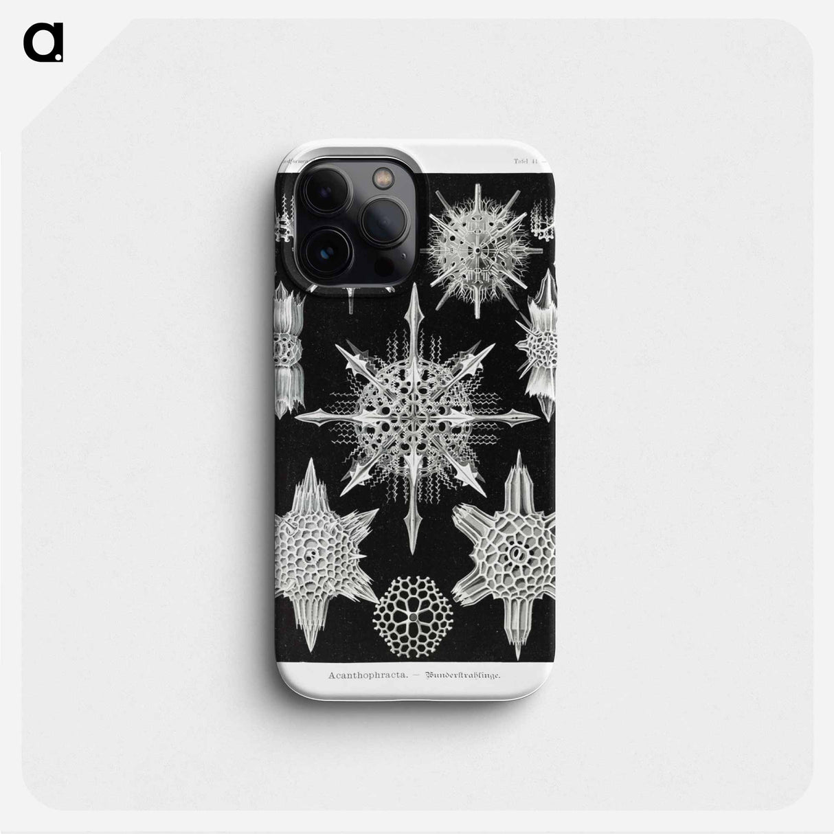 Acanthophracta–Wunderstrahlinge from Kunstformen der Natur - エルンスト ヘッケル Phone Case.