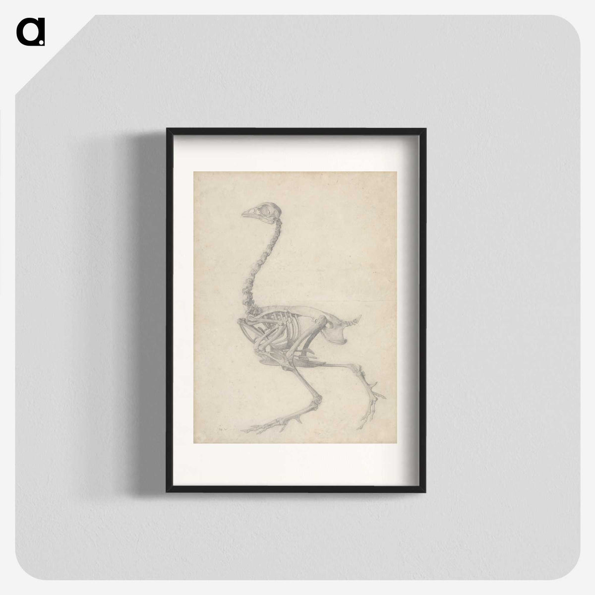 1-50_George-Stubbs_blk