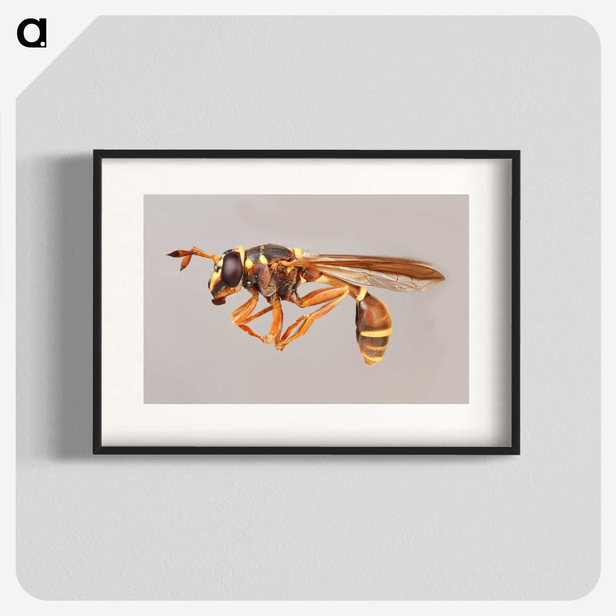 1-50_Insects-Unlocked-Project_blk
