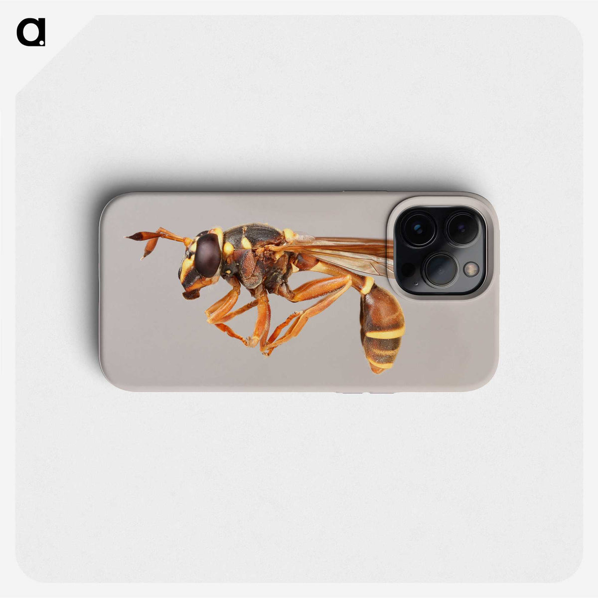 1-50_Insects-Unlocked-Project_phone