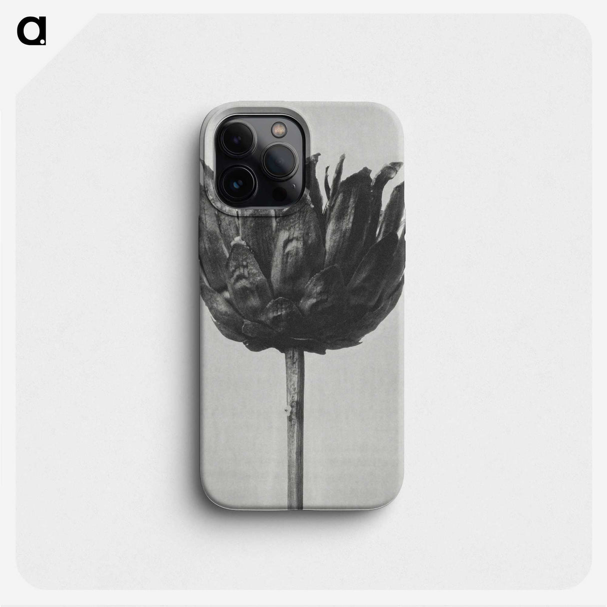 1-50_Karl-Blossfeldt_phone