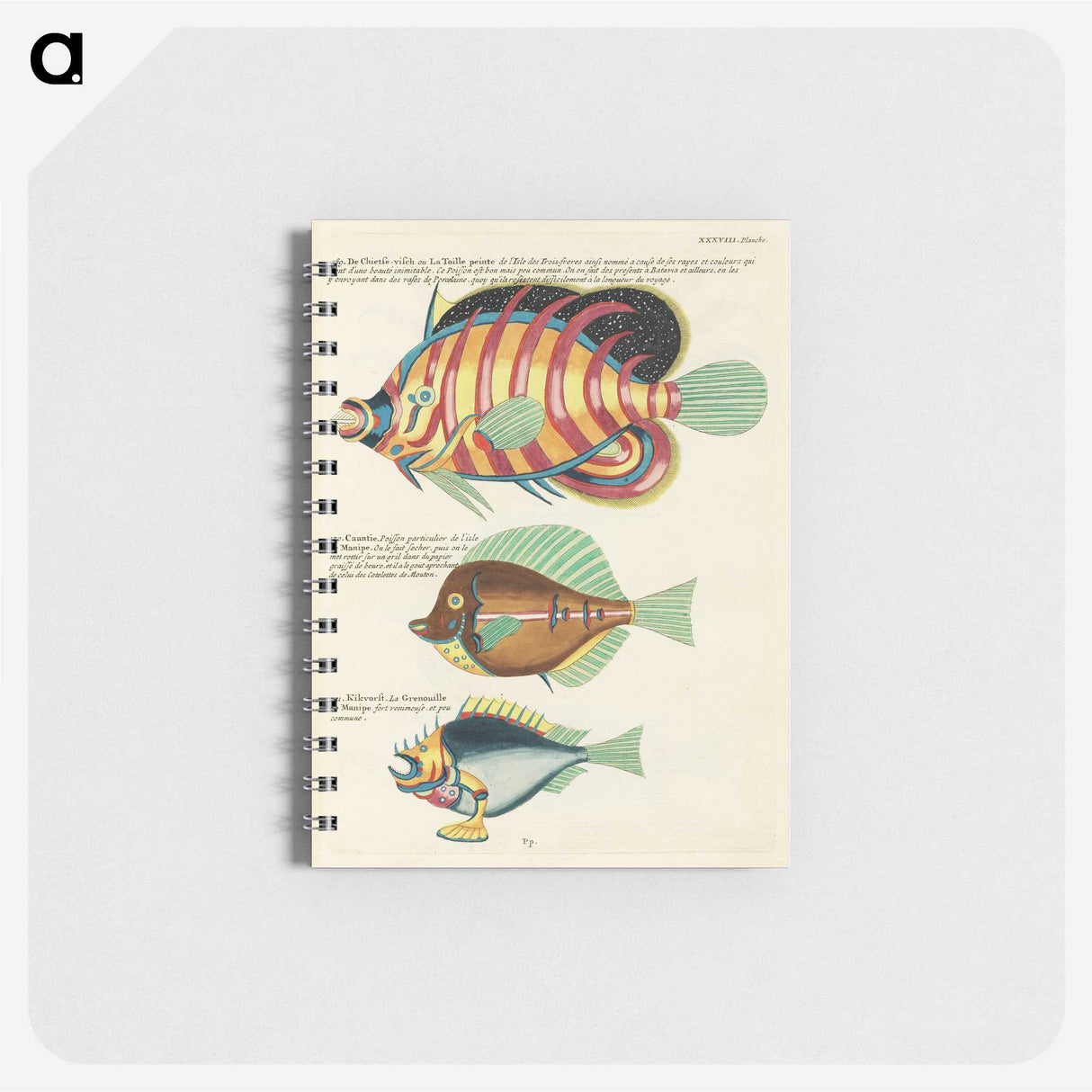 1-50_Louis-Renard_memo