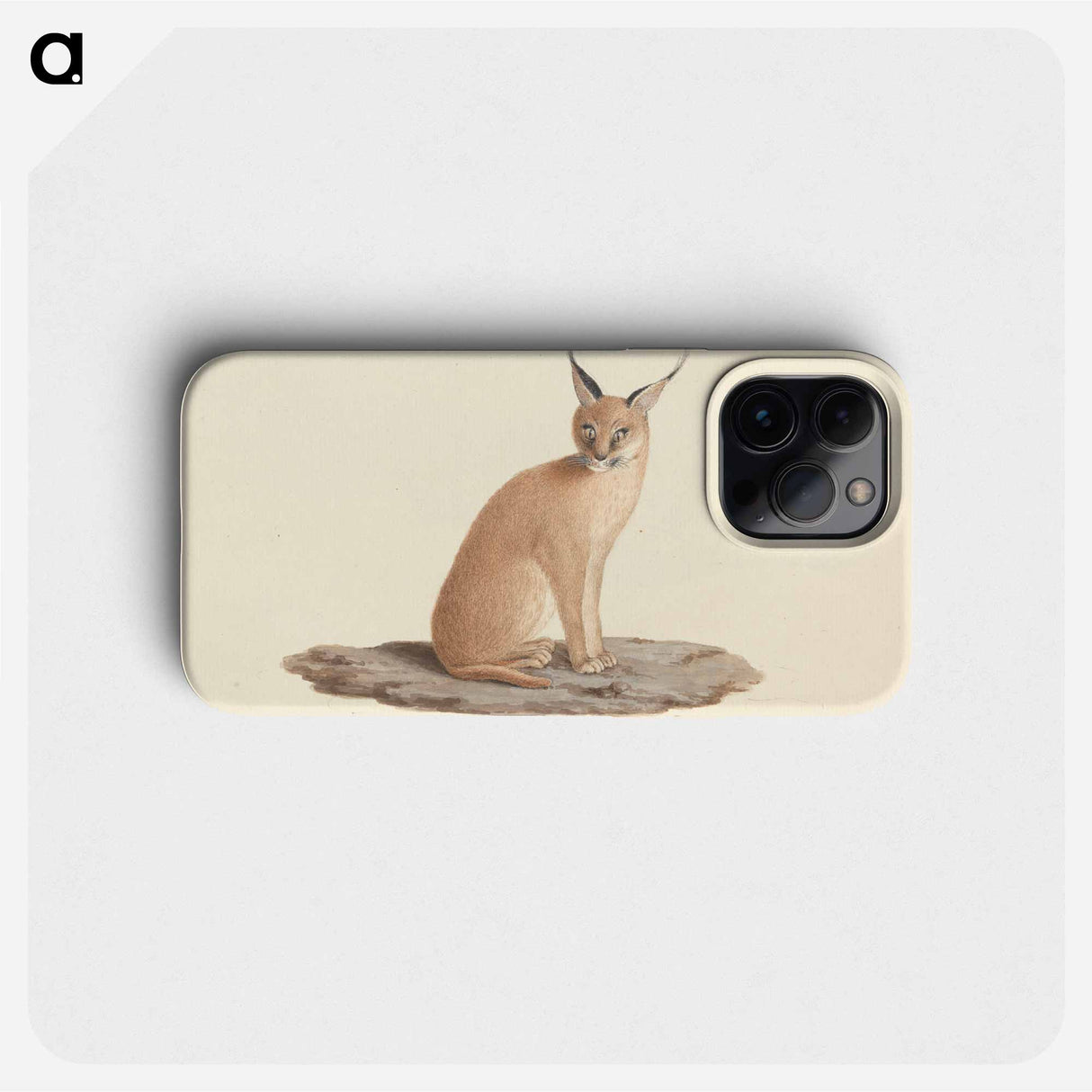 Caracal Caracal
- ルイージ バルガーニ Phone Case.
