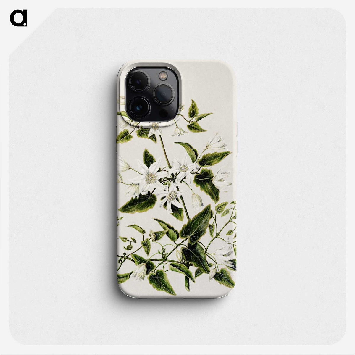 1-50_Native-Flowering-Plants-of-New-Zealand_phone