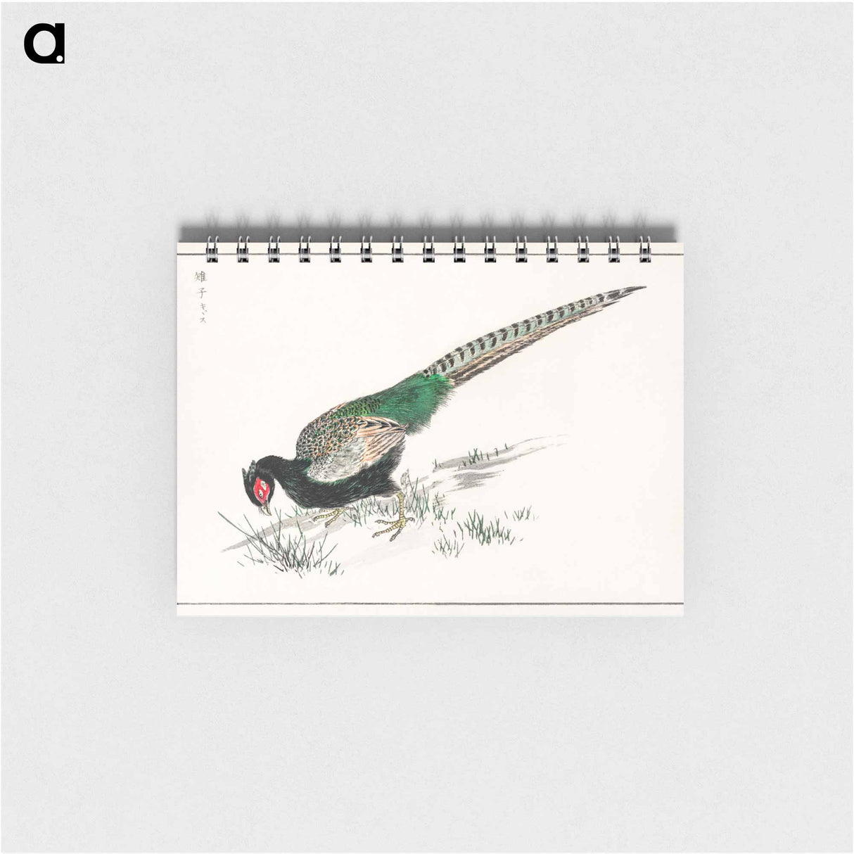 アートメモ帳-Green Pheasant Illustration
- 鳥類図鑑 Memo.