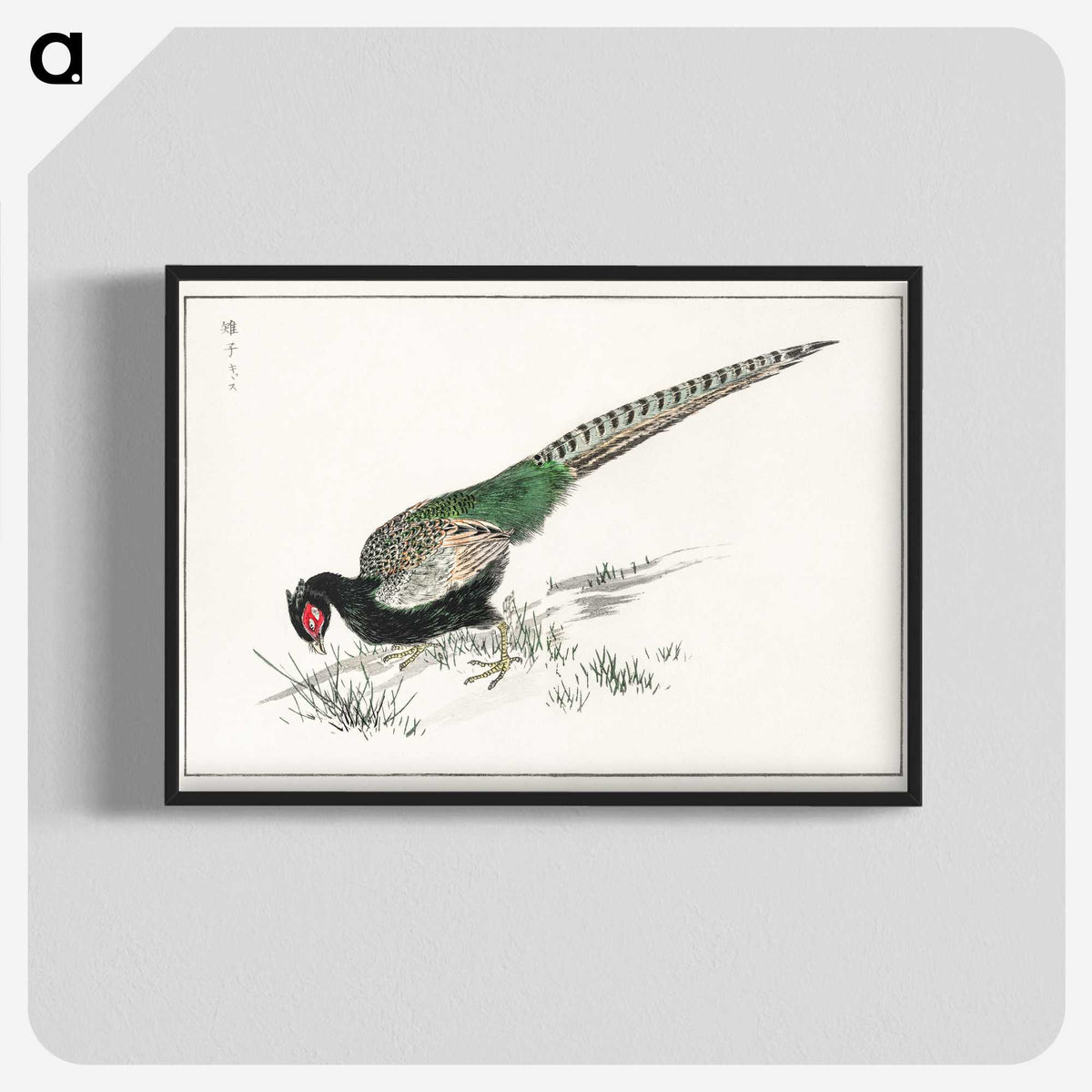1-50_Pictorial-Monograph-of-Birds_blk-crop