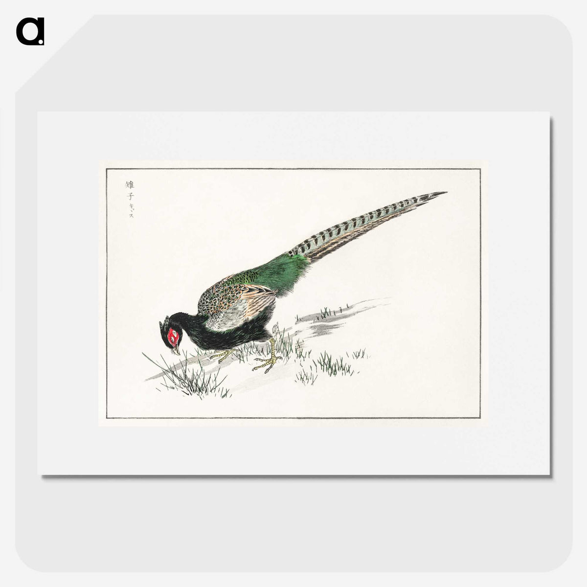 1-50_Pictorial-Monograph-of-Birds_picture