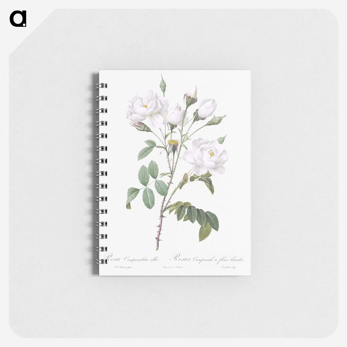 1-50_Pierre-Joseph-Redoute_memo