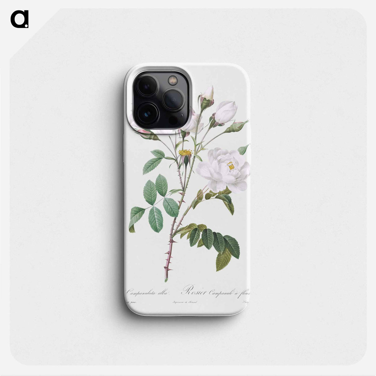 Rosa campanulata alba - Pierre Joseph Redouté Phone Case.
