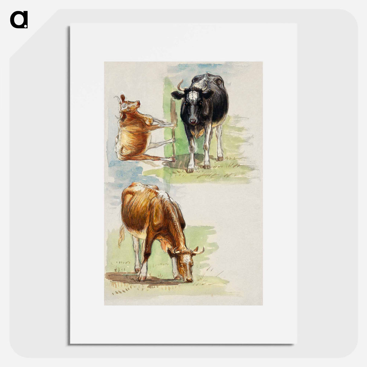 アートポスター-Cattle, Steers - サミュエル コールマン Poster.